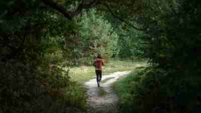 A person walking in nature alone