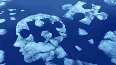 Puzzle brain